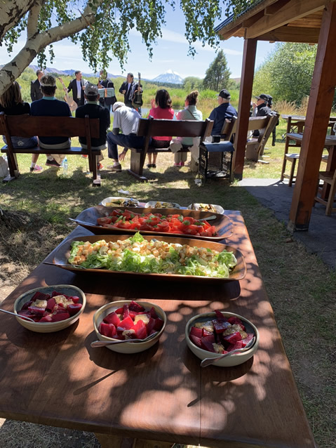 <h2>The Best of Argentina Escorted 2019 Feb 18</h2>11 Nights in Patagonia & Buenos Aires | 6 Rounds | February 18 – March 1